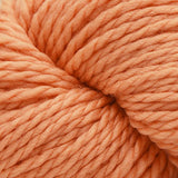 Cascade 128 Superwash Yarn - Peach Cobbler