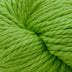Cascade 128 Superwash Yarn - Green Apple