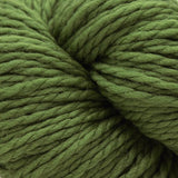 Cascade 128 Superwash Yarn - Moss