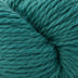 Cascade 128 Superwash Yarn - Deep Jungle