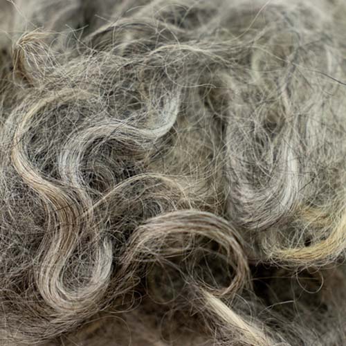 Pygora Fiber - The Woolery