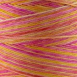 Rosie's Silk Yarn