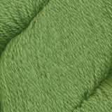 Juniper Moon Farm Patagonia Organic Merino Wool Yarn - The Woolery