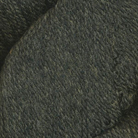 Juniper Moon Farm Patagonia Organic Merino Wool Yarn - The Woolery