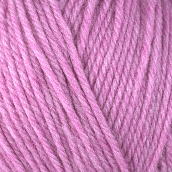 Berroco Ultra Wool Yarn - The Woolery