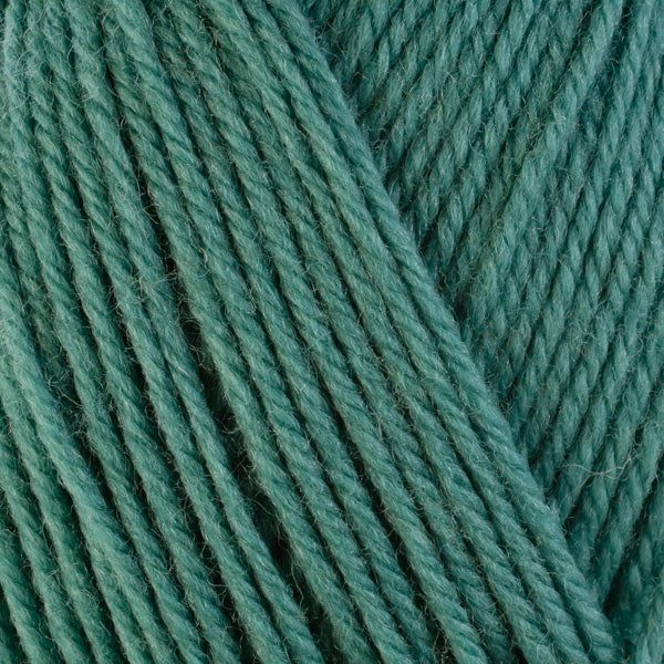 Berroco Ultra Wool Yarn - The Woolery