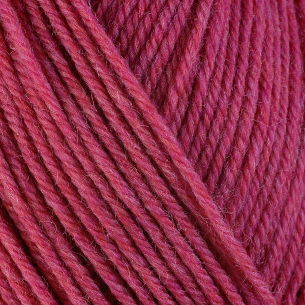 Berroco Ultra Wool Yarn - The Woolery