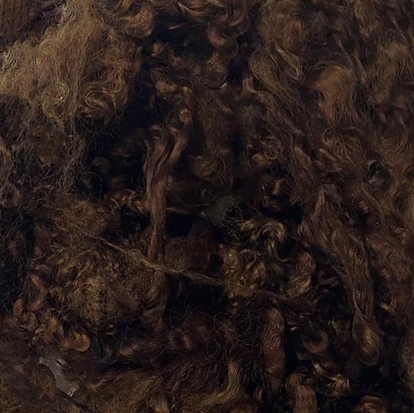 Wensleydale Dyed Locks - The Woolery