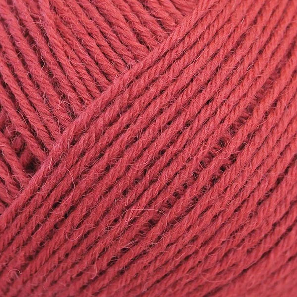Baa Ram Ewe Skipper 5ply Yarn - The Woolery