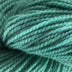 Briggs & Little Sport Yarn - The Woolery
