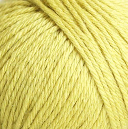 Dyeing House Gallery Rain or Shine Yarn Merino Yarn