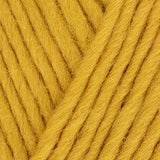 RETREAT Chunky Roving Yarn