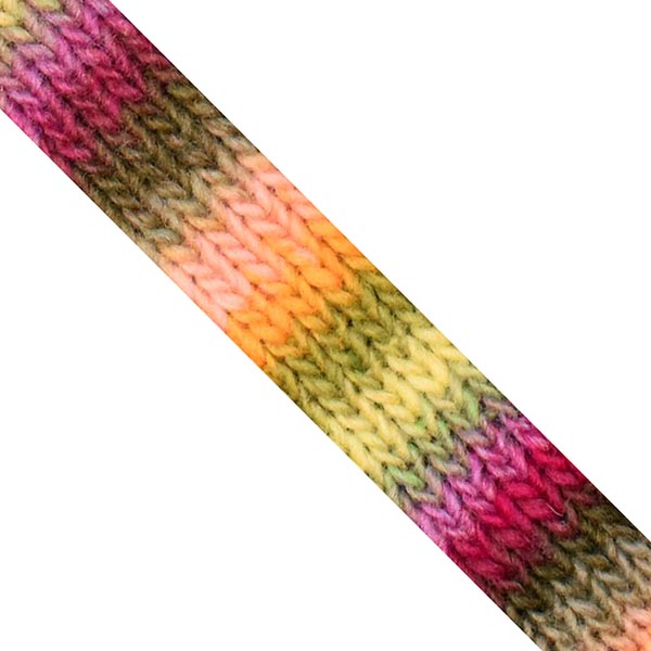 NORO Kureyon Yarn - The Woolery