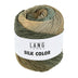 LANG Silk Color Yarn - The Woolery