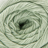 Cascade Botanika Yarn - The Woolery