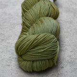 Fyberspates Vivacious 4ply Botanical Yarn - The Woolery