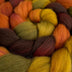 Greenwood Hand Dyed Polwarth Roving - The Woolery