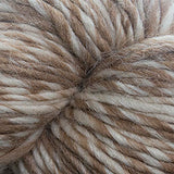 Cascade Eco Duo Yarn - The Woolery
