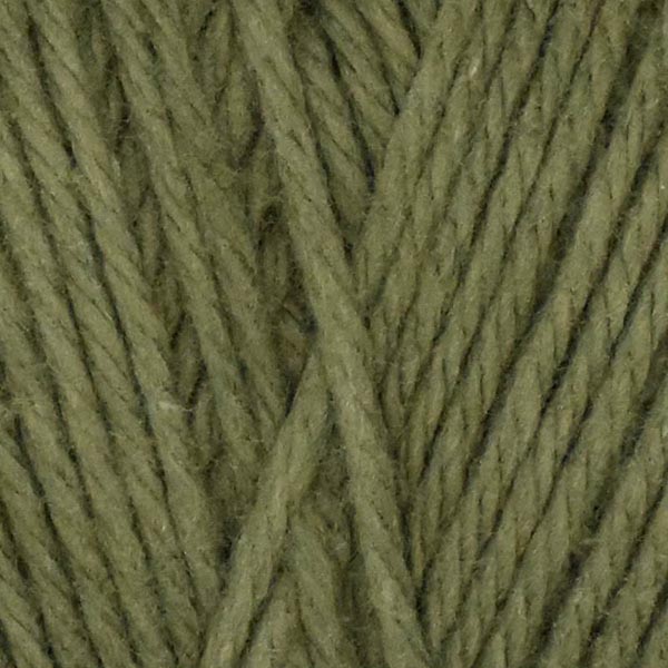 Queensland Coastal Cotton Yarn - The Woolery