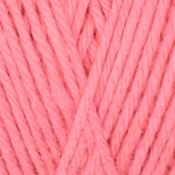 Queensland Coastal Cotton Yarn - The Woolery