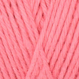Queensland Coastal Cotton Yarn - The Woolery