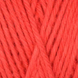Queensland Coastal Cotton Yarn - The Woolery