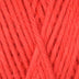 Queensland Coastal Cotton Yarn - The Woolery