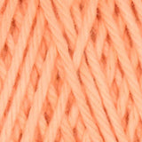 Queensland Coastal Cotton Yarn - The Woolery
