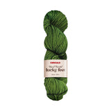 Circulo Lucky Feet Yarn - The Woolery