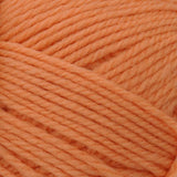 Brown Sheep Nature Spun Fingering Weight Yarn - The Woolery