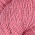 Juniper Moon Farm Patagonia Organic Merino Wool Yarn - The Woolery