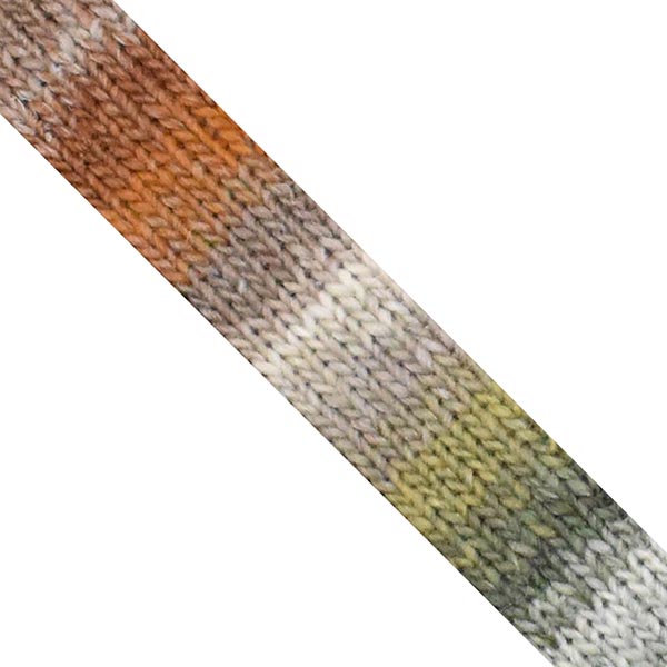 NORO Silk Garden Sock Yarn - The Woolery