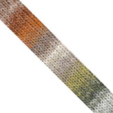 NORO Silk Garden Sock Yarn - The Woolery