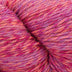 Cascade 220 Superwash Sport Wave Yarn - The Woolery