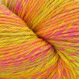 Cascade 220 Superwash Sport Wave Yarn - The Woolery