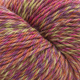 Cascade 220 Superwash Sport Wave Yarn - The Woolery