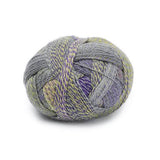 Zauberball Crazy Sock Yarn - The Woolery
