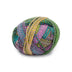 Zauberball Crazy Sock Yarn - The Woolery