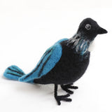 Ashford Needle Felting Kit - Tui - 9418647149173