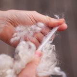 Listen to the Wool - The Woolery