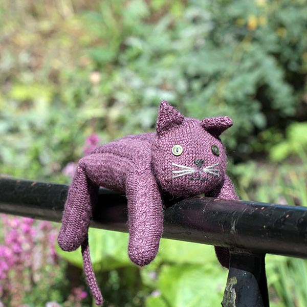 Dovestone Smallholding - Cat