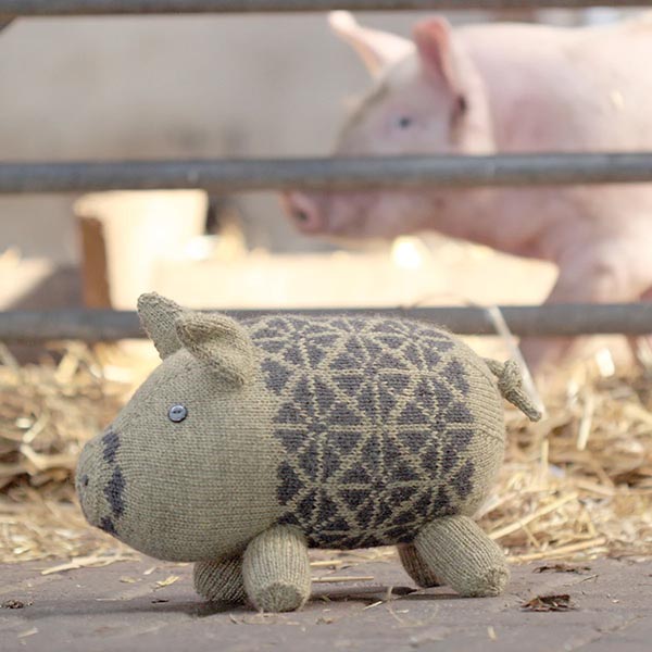 Dovestone Smallholding - Pig