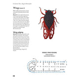 Crocheted Bees, Bugs & Butterflies - Instructions