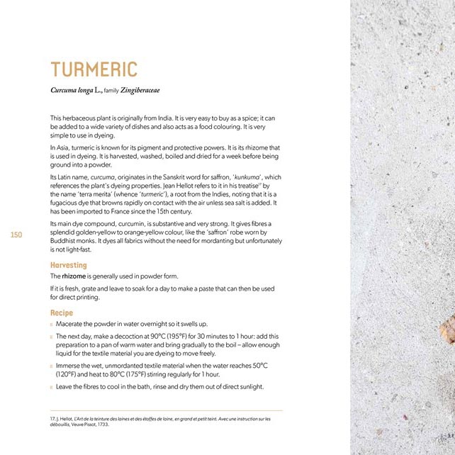 Botanical Dyes - Tumeric