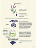 Japan Blue Indigo Dyeing Techniques - c