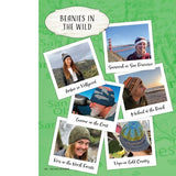 Knitting California - a