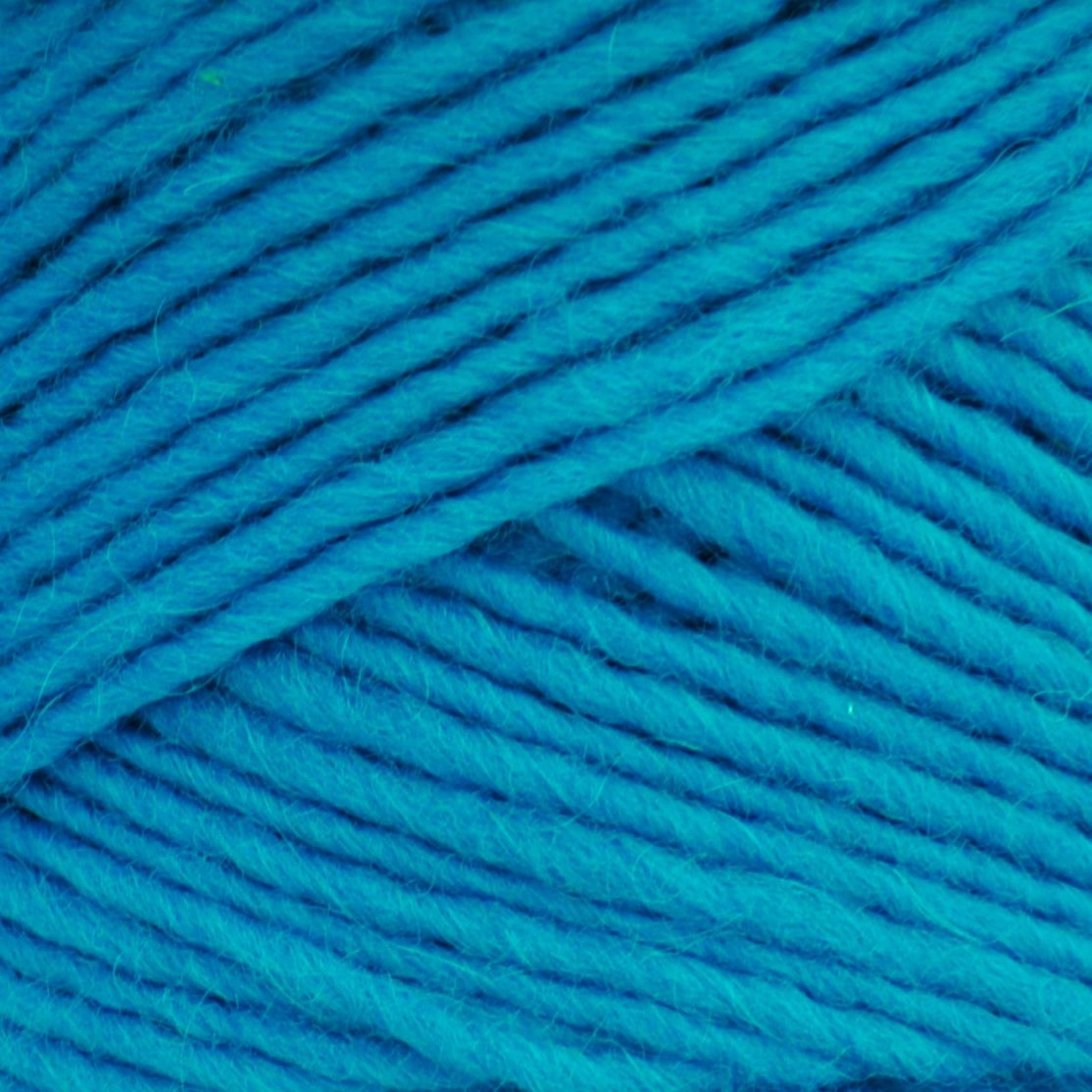 Brown Sheep Lamb's Pride Worsted Wool Yarn