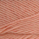 Brown Sheep Lamb's Pride Worsted Wool Yarn