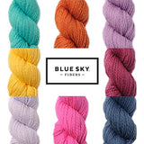 Blue Sky Fibers Organic Cotton Worsted Yarn