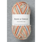 Arne & Carlos Socks & More 4Ply Yarn - Last Brushstroke